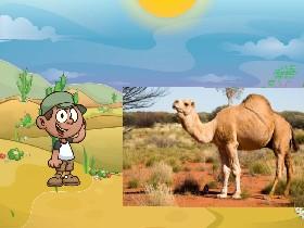 what does the camel say