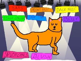 Cat Customizer