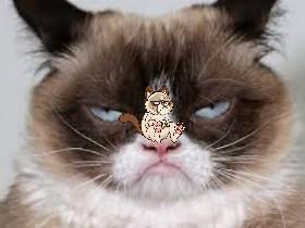 Grumpy Cat