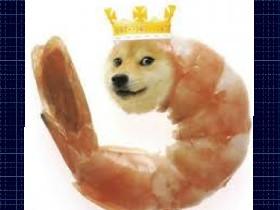 Spin draw doge