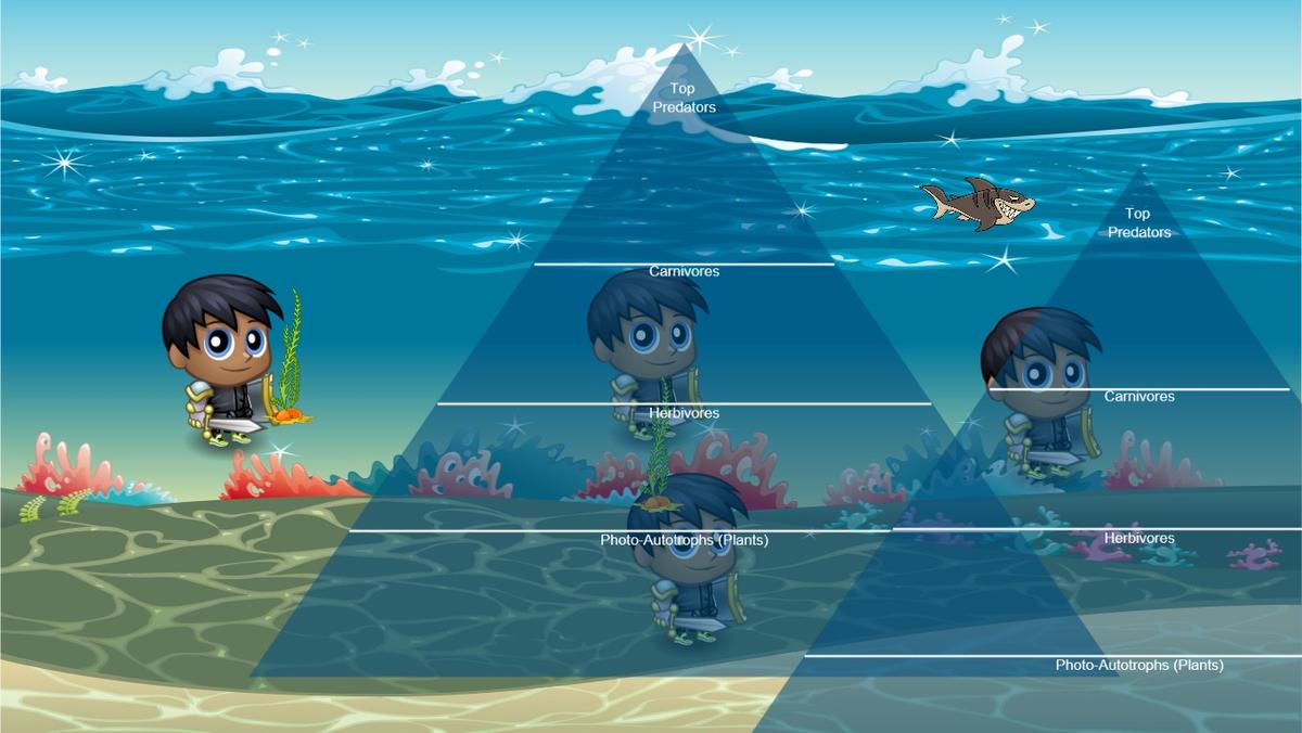 Ocean Ecological Pyramid