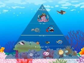 Ecological Pyramid 1