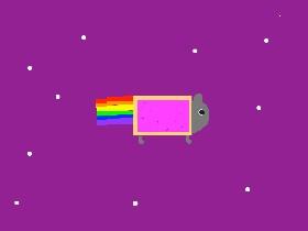 Nyon cat fixed