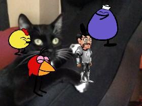 CAT!!!!!!