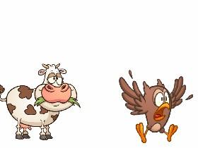 Cow Joke 1