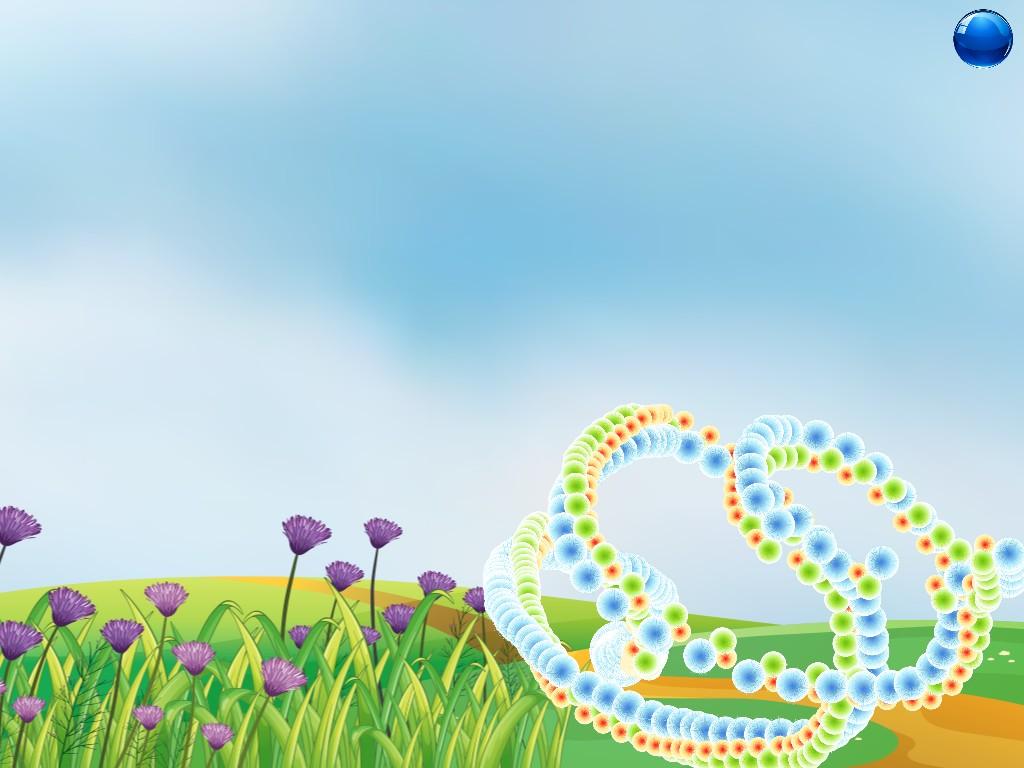 Spin Draw