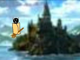 Daco cat