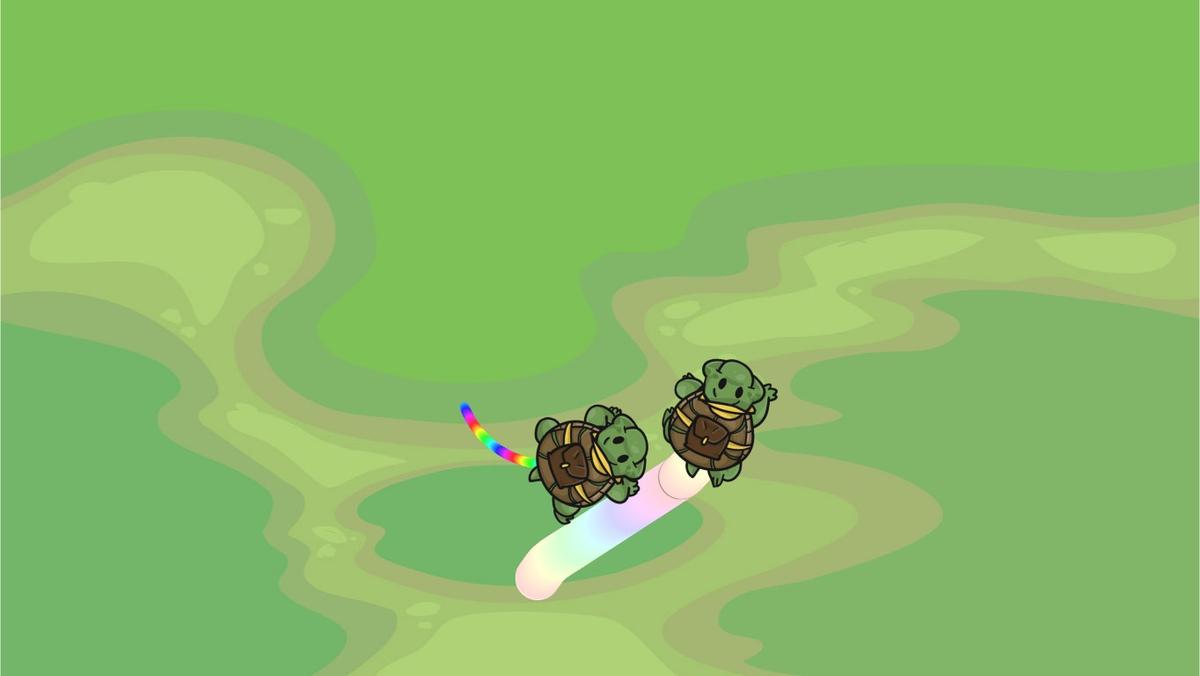 Turtle Trails