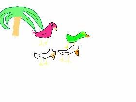 The weird flock of birds