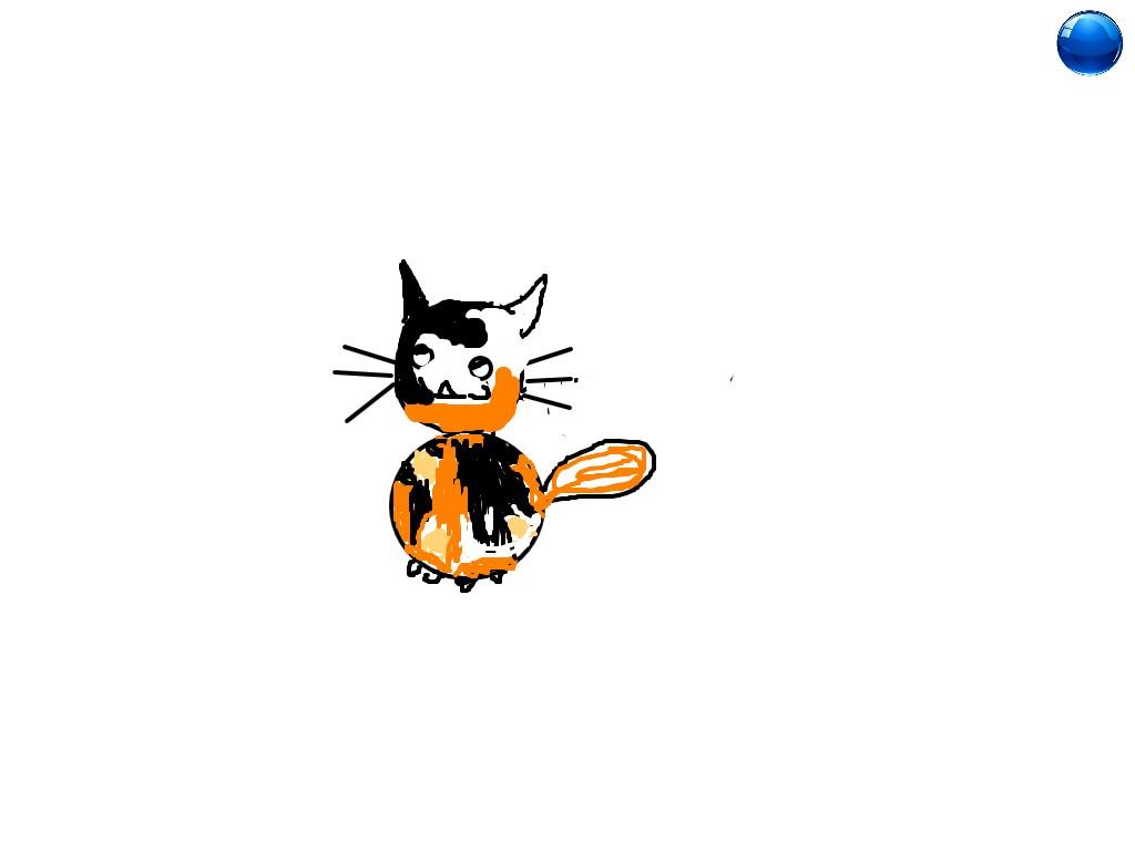 My Cute cat