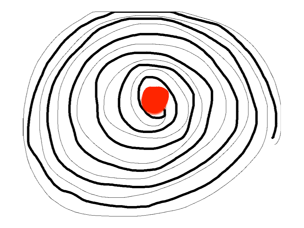 Move your eyes in circles