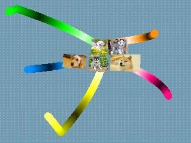 dog Trails