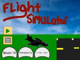 Flight Simulator 1