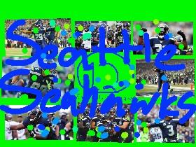 Seattle Seahawks!!!!!!!!