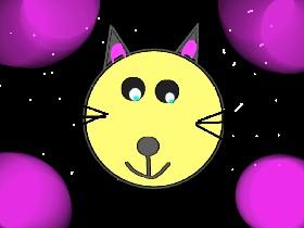 How to draw a cat