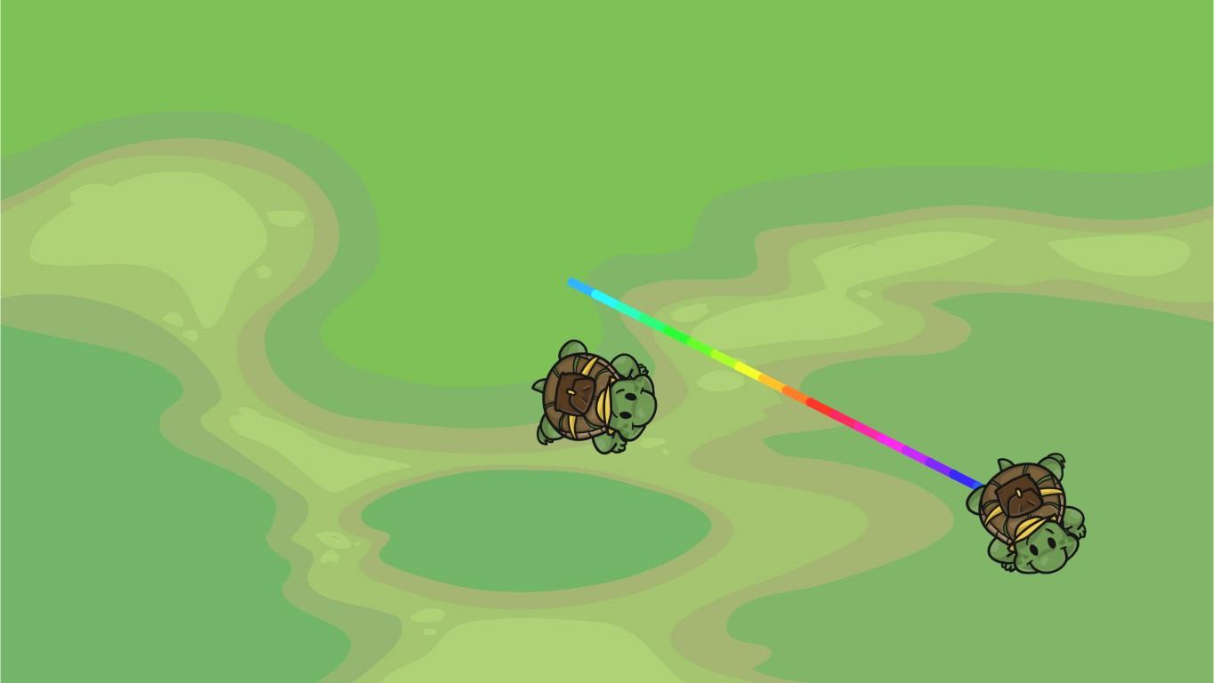 Turtle Trails