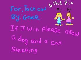 for taco cat 😂😃😀😄☺️😁