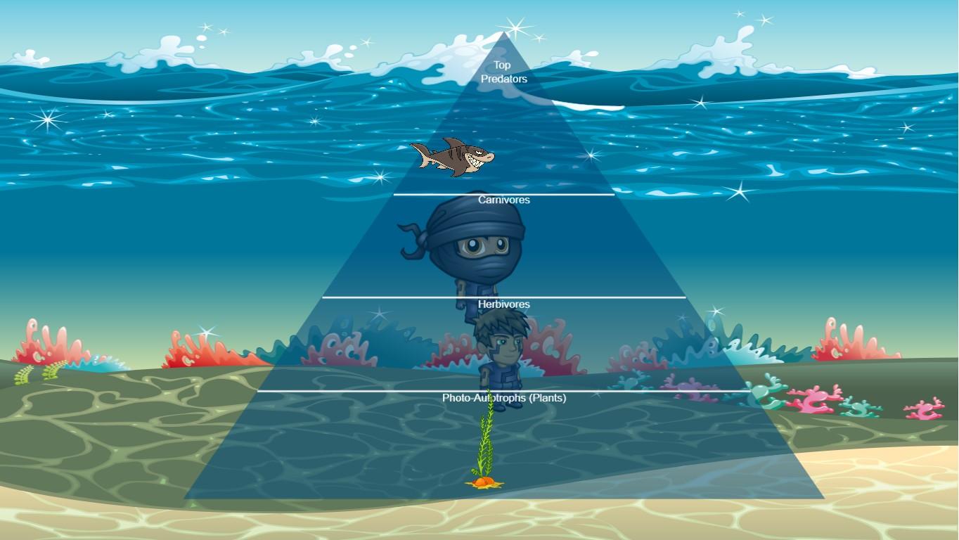 Ocean Ecological Pyramid