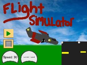 Flight Simulator 1