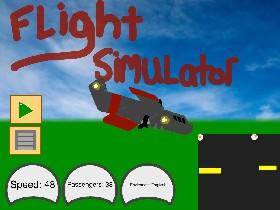 Flight Simulator 1 1