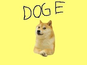 Doge Life