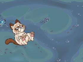 Hacker duck defense 1