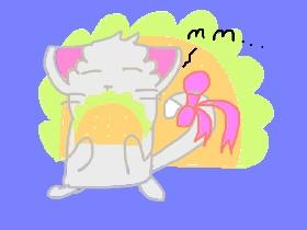 for the tacocat Contest!