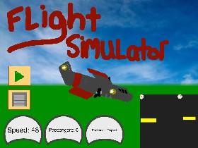 Flight Simulator 3