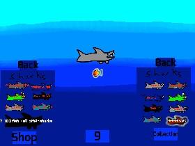 Shark!ppoop 1
