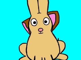 Wink Animaton. 1