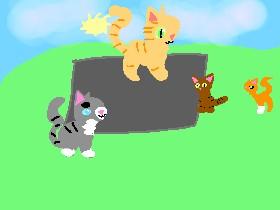 meet the warrior cats 1