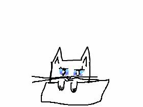 how to drawa cat