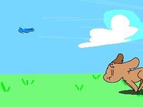Bunny Run+Animation 1