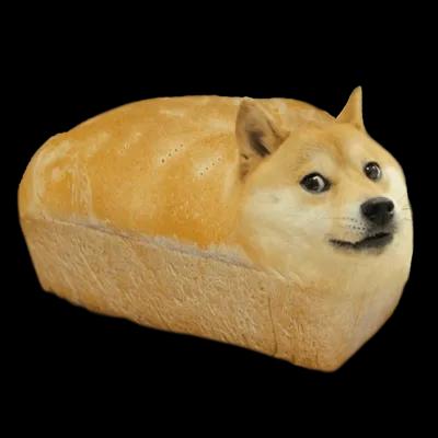 Doge Bread spin draw 1