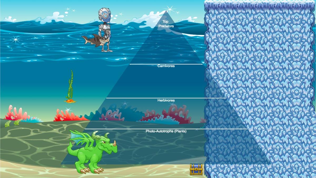 Ocean Ecological Pyramid
