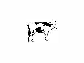 how to make a cow