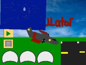 Flight Simulator 1