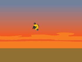 Bird Mayhem 2