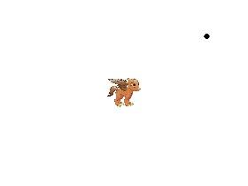 Dragon fight: Xtreme 1