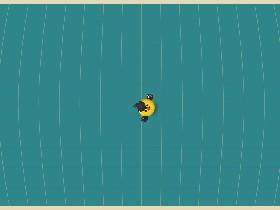 Bird Mayhem 1