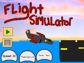 Flight Simulator 1 1