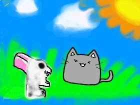 KITTY!