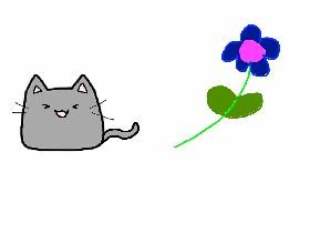 Learn To Draw 1