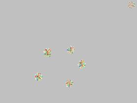 Spin Draw 1