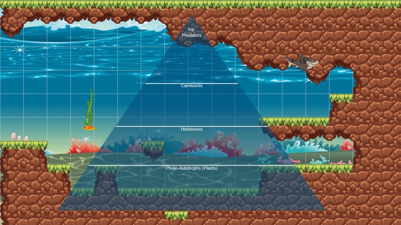 Ocean Ecological Pyramid