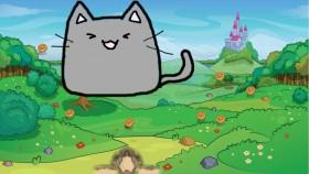 Mr cat
