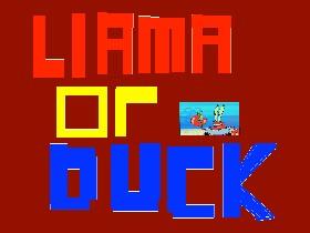Llama or Duck? 1