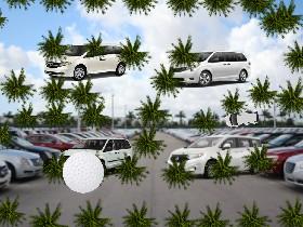 Palm beach test drive 1