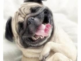 dis funny then jake pual