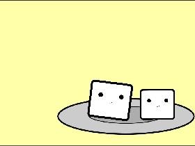 Talking Tofu 1